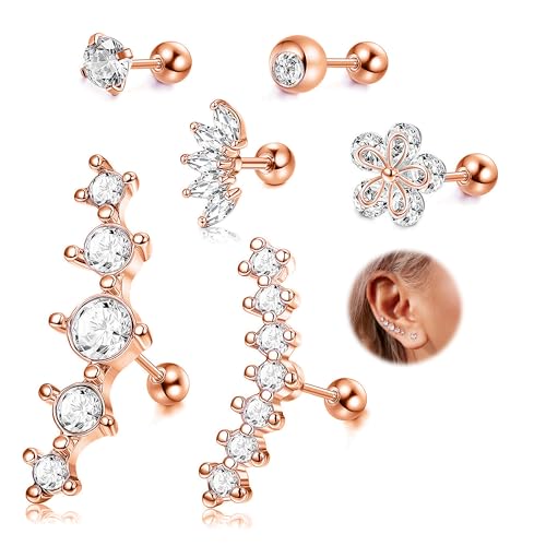 CASSIECAR 6 Stücke 16G Edelstahl Silber Ohrknorpel Ohrringe für Damen Mädchen Tragus Helix Ohrring Niedlich Blume Conch Flache Rückseite Tragus Helix Piercing Schmuck von CASSIECA