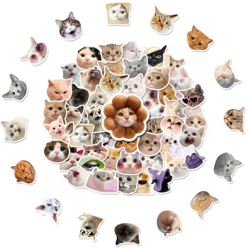 50 Stück Lustiges Katzen Aufkleber Set, Funny Meme Sticker Set, Meme Stickers for Car, süße Katzen Aufkleber, wasserfeste Vinyl Aufkleber ästhetische Aufkleber Wasserflaschen Sammelalbum Telefon von CATOR
