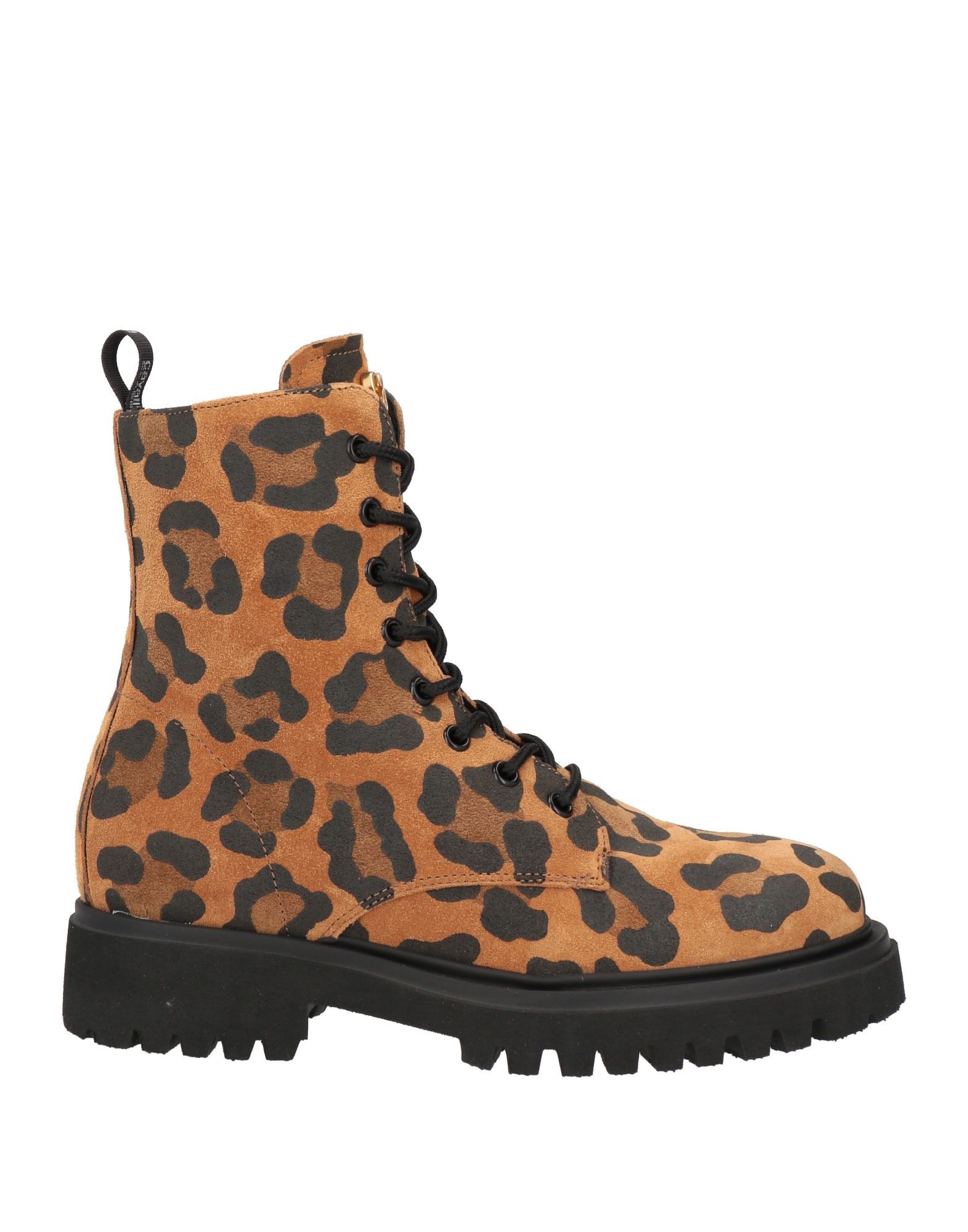 CAVALLI CLASS Stiefelette Damen Kamel von CAVALLI CLASS