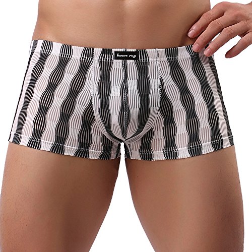 CCOOfhhc Boxerbriefs Herren Transparent Boxershort Netz Retroshorts Durchsichtig Höschen Low-Rise Reizwäsche Freizeit Nahtlos Nachtwäsche Sommer Erotisch Brief Sexy Trunks für Männer von CCOOfhhc