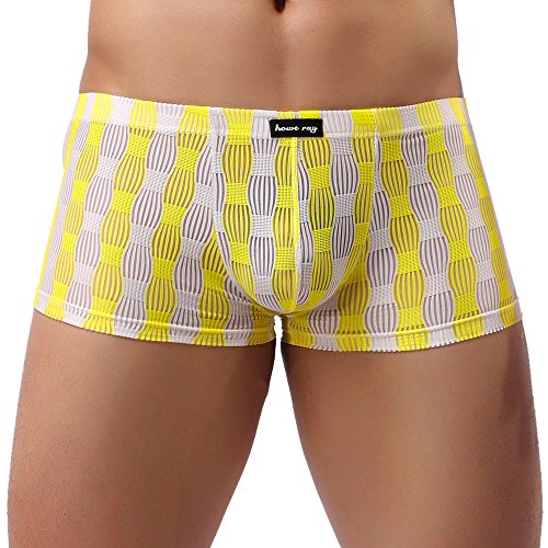 CCOOfhhc Boxerbriefs Herren Transparent Boxershort Netz Retroshorts Durchsichtig Höschen Low-Rise Reizwäsche Freizeit Nahtlos Nachtwäsche Sommer Erotisch Brief Sexy Trunks für Männer von CCOOfhhc