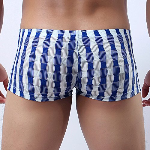 CCOOfhhc Boxerbriefs Herren Transparent Boxershort Netz Retroshorts Durchsichtig Höschen Low-Rise Reizwäsche Freizeit Nahtlos Nachtwäsche Sommer Erotisch Brief Sexy Trunks für Männer von CCOOfhhc