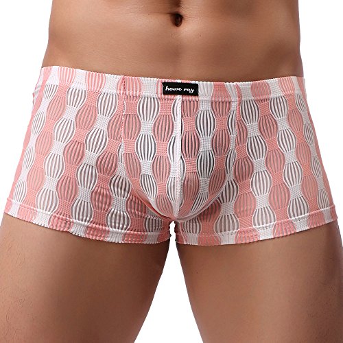 CCOOfhhc Boxerbriefs Herren Transparent Boxershort Netz Retroshorts Durchsichtig Höschen Low-Rise Reizwäsche Freizeit Nahtlos Nachtwäsche Sommer Erotisch Brief Sexy Trunks für Männer von CCOOfhhc