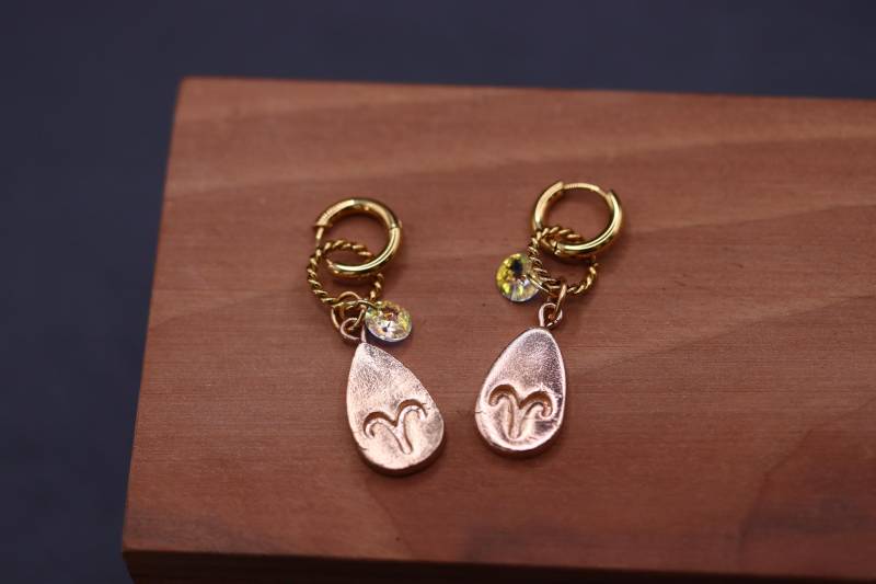 Widder-Ohrringe, Sternzeichen-Ohrringe Hold Mit Zirkonia Stein, Geburtsstein Ohrringe, Personalisierbar von CCharmedCCreations