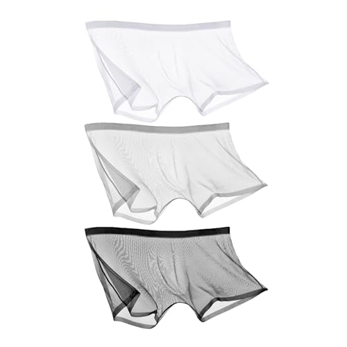 CEAeis Ice Silk Sexy Mesh Volltransparente Boxershorts, atmungsaktive, durchsichtige, Hohle Slips für Männer (3pcs-A,L) von CEAeis