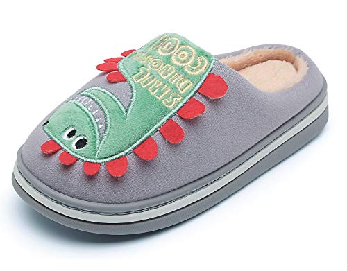 CELANDA Hausschuhe Kinder Jungen Winter Plüsch Pantoffeln Mädchen Wärme Weiche Hausschuhe rutschfeste Cartoon Dinosaurier Hüttenschuhe Grau 34/35 EU (Herstellergröße: 240) von CELANDA