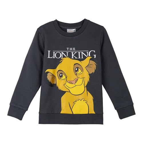 CERDÁ LIFE'S LITTLE MOMENTS Unisex Kinder Sudadera Cotton Brushed Lion King Sweatshirt, Dunkelgrau (Dark Gray), 3 Jahre von CERDÁ LIFE'S LITTLE MOMENTS