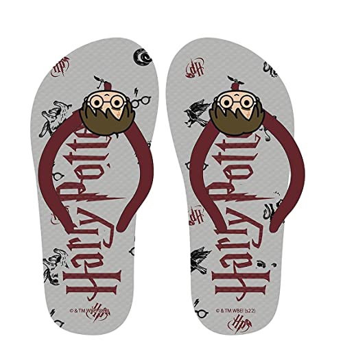 CERDÁ LIFE'S LITTLE MOMENTS Zehentrenner Unisex mit hochwertigen Motiven von Harry Potter Bedruckt | Sandalen Sommer für die ganze Familie mit Eva Sohle-Offizielle Lizenz Warner Bros, Grau, 29 EU von CERDÁ LIFE'S LITTLE MOMENTS