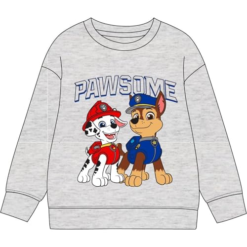 CERDÁ Life's Little Moments Unisex Kinder Sudadera Paw Patrol Diseño Original Y Licencia Oficial | Ropa Infantil Cómoda, Abrigada Y Perfecta para EL A Día Sweatshirt, 5 Jahre von CERDÁ LIFE'S LITTLE MOMENTS
