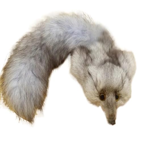 CFlokx Gebräunter echter Fuchskopf Gesicht Pelz Fuchsschwanz Fuchs Haut Schrott Pelzhaut (Grauer Fuchskopf + Grauer Fuchsschwanz) von CFlokx
