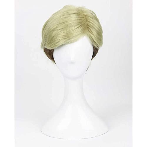 Anime Cosplay Perücke, Attack on Titan Erwin Smith Perücke, Short Blonde Brown Ombre Color Perücke,Mit Kostenloser Perückenkappe, Für Party Alltag Halloween Anime-Fan-Geschenk von CHALKSEA