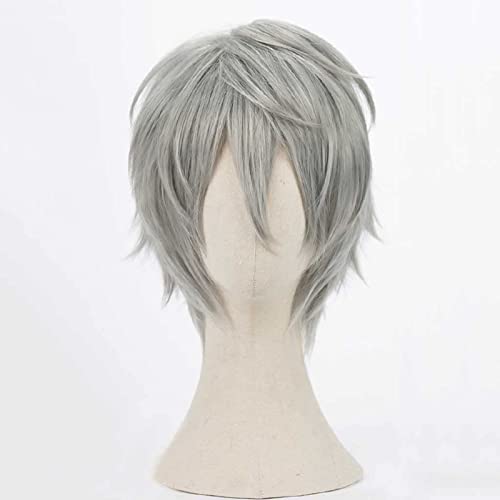 Anime Cosplay Perücke, Haikyuu Lev Haiba Perücke, Silver Gray Short Perücke, Mit Kostenloser Perückenkappe, Für Party Alltag Halloween Perücke Cosplay, Anime-Fan-Geschenk von CHALKSEA