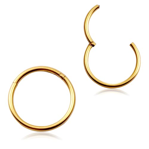 Nasenring Gold Scharnier Nasenpiercing Ring Septum Ring Clicker Piercings Set männer frauen unisex für Freund oder freundin von ＣＨＡＭＥＥＮ