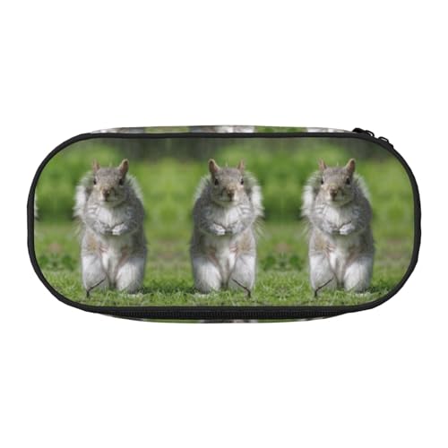 CHANGLEI Eichhörnchen-Federmäppchen mit doppeltem Reißverschluss und 4 Stiftfächern, Netztasche, bedruckt, leicht, langlebig, Polyester, Federmäppchen für Schule, Büro oder Make-up-Organizer von CHANGLEI