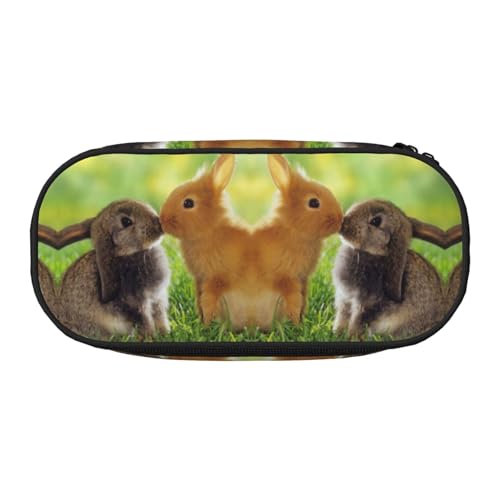 CHANGLEI Federmäppchen mit doppeltem Reißverschluss und 4 Stiftfächern, Netztasche, bedruckt, leicht, langlebig, Polyester, Federmäppchen für Schule, Büro oder Make-up-Organizer von CHANGLEI