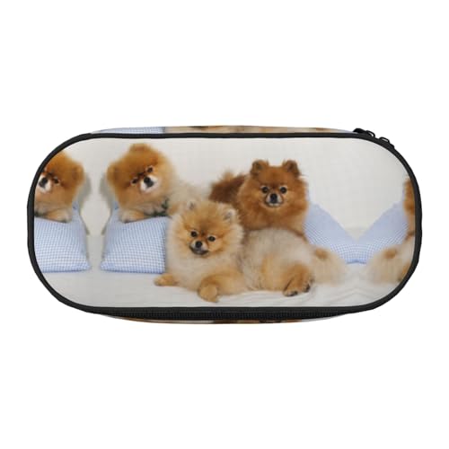 CHANGLEI Niedliches Spitzmäppchen mit doppeltem Reißverschluss und 4 Stiftfächern, Netztasche, bedrucktes, leichtes, strapazierfähiges Polyester-Federmäppchen für Schule, Büro oder Make-up-Organizer von CHANGLEI