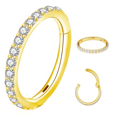 CHARMONLINE 14K Gold Gefüllte Septumringe Hoop 16G 8mm/10mm 316L Segment Nasenringe für Männer, Knorpel Clicker Creolen für Rook, Daith, Tragus, Hypoallergen, Edelstahl, Zirkonia CHARMONLINE 14K Gold Gefüllte Septumringe Hoop 16G 8mm/10mm 316L Segment Nasenringe für Männer, Knorpel Clicker Creolen für Rook, Daith, Tragus, Hypoallergen, Edelstahl, Zirkonia von CHARMONLINE