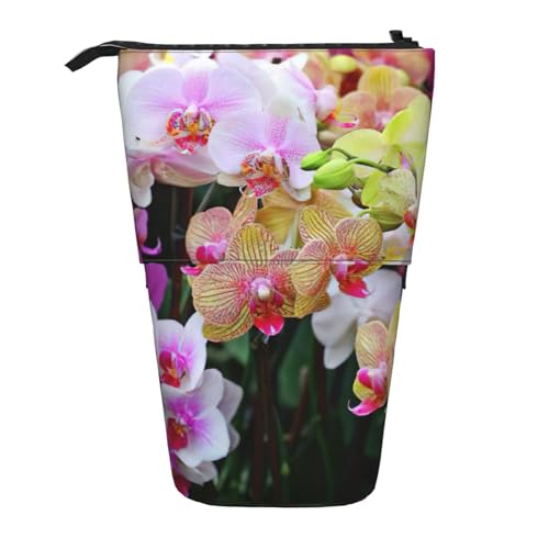 Stehende Teleskop-Bleistifttasche mit Orchideen-Motiv, Oxford-Stoff, tragbar, für Jungen, Mädchen, Teenager, Studenten, Büro, Schwarz , Einheitsgröße von CHAbu