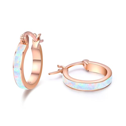 CHENGHONG Opal Ohrringe Silber 925 - Weiß Creolen Roségold Hypoallergen Schmuck für Frauen Damen Mädchen CHENGHONG Opal Ohrringe Silber 925 - Weiß Creolen Roségold Hypoallergen Schmuck für Frauen Damen Mädchen von CHENGHONG