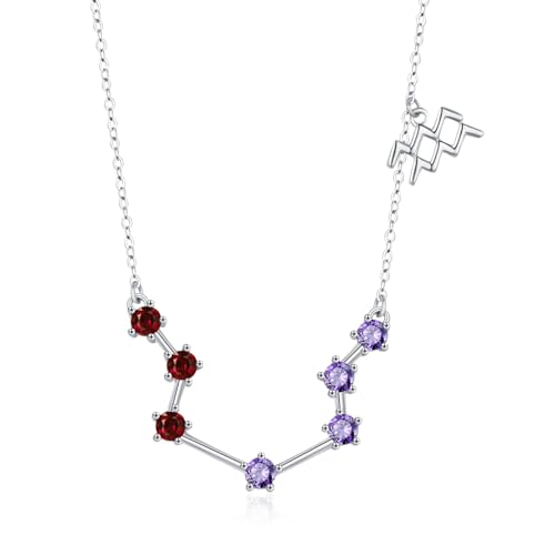 CHENGHONG Wassermann Kette Sternzeichen Kette 925 Sterling Silber Sternzeichen Wassermann Anhänger Halskette mit Geburtsstein Schmuck Geburtstag Geschenke für Frauen Mädchen von CHENGHONG