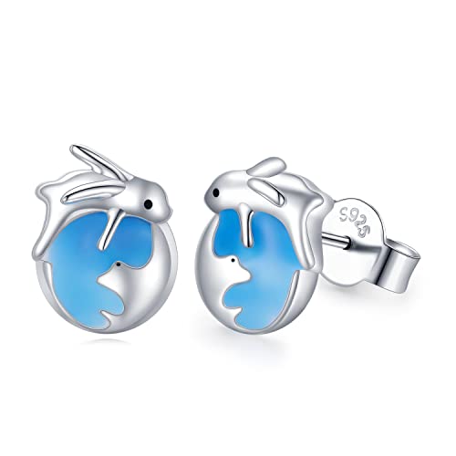 Kaninchen Ohrringe Mädchen S925 Silber Häschen Ohrringe Kaninchen auf dem Mond Planeten Tier Kaninchen Oster Geschenk für Mädchen Frauen Tochter Kinder von CHENGHONG