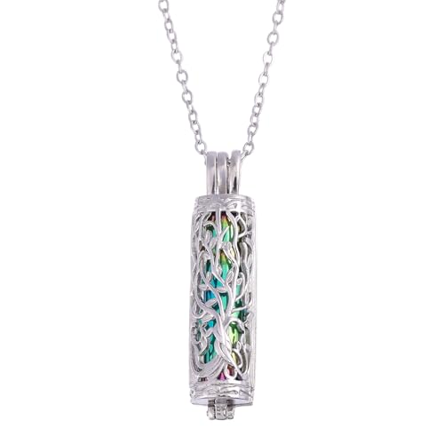 CHGCRAFT Urne 304 Edelstahl Halsketten Kremation Anhänger Halskette für Asche Edelstahlketten Gedenkschmuck Regenbogenfarbe CHGCRAFT Urne 304 Edelstahl Halsketten Kremation Anhänger Halskette für Asche Edelstahlketten Gedenkschmuck Regenbogenfarbe von CHGCRAFT