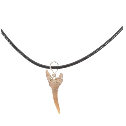 CHICAMPERA Einzigartige Haifischzahn Halskette Damen Natürliches Kristall Fossil Anhänger mit Lederband Modischer Schmuck Leicht Bequem Vielseitig Kombinierbar Geschenkidee von CHICAMPERA
