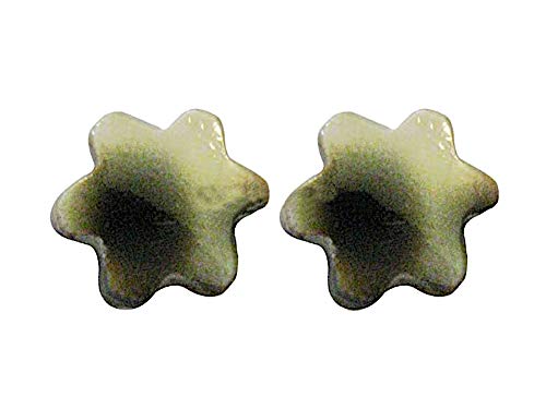CHICNET Blume Muschel Silberohrstecker gefärbt braun weiß Ohrstecker 925er Sterling Silber Ohrringe von CHICNET