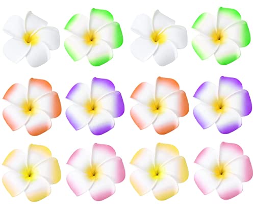 12 Pcs Plumeria Haarspangen Clip，Hawaii Haarspangen，für Strandparty Blumen Haarschmuck. von CHUANGOU