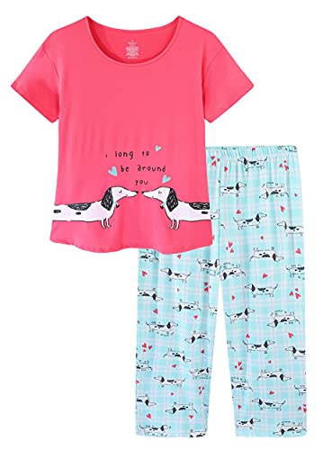 CHUNG Damen Schlafanzug Capri Pyjama Kurzen Ärmeln 3/4 Lange Hose Mit Sternen Animal Print, BlueDog 2XL von CHUNG