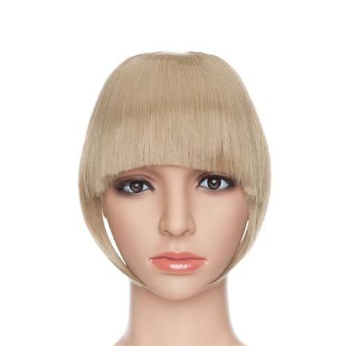 Bang Perücke, Fake Bangs Synthetik Blunt Bang Clip in Haarverlängerung Damen Blunts Fransenhaar Schwarz Braun Pony 2 Clips,Perücken mit Pony(16) von CHURICH-E