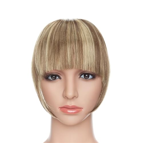 Bang Perücke, Fake Bangs Synthetik Blunt Bang Clip in Haarverlängerung Damen Blunts Fransenhaar Schwarz Braun Pony 2 Clips,Perücken mit Pony(F10-86) von CHURICH-E