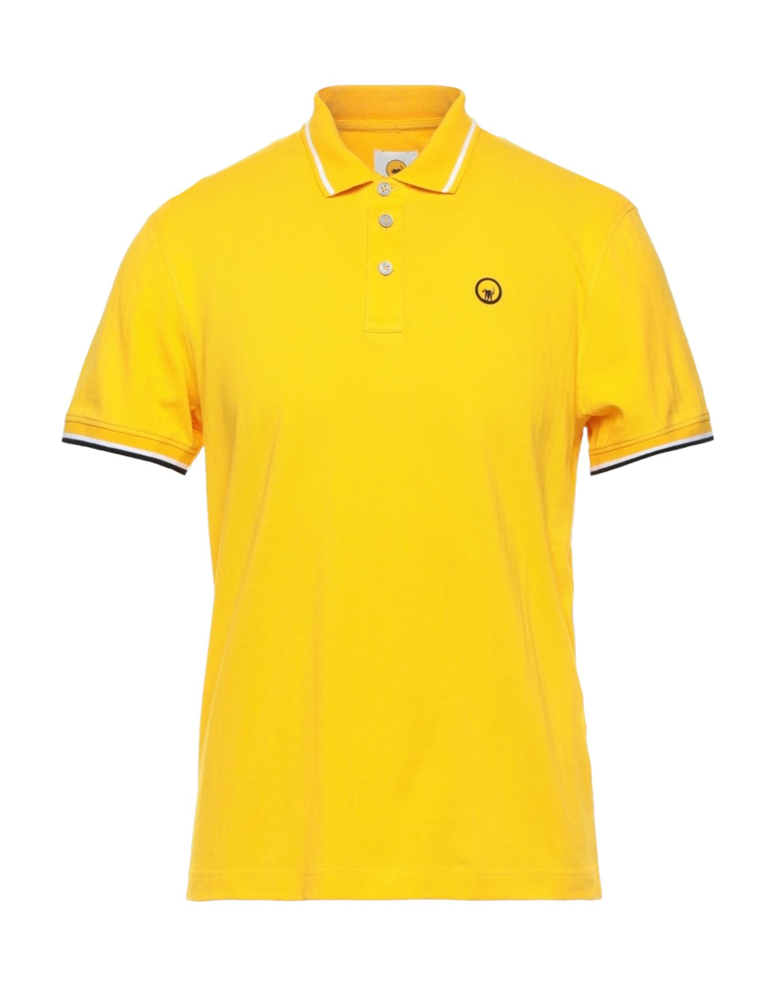 CIESSE PIUMINI Poloshirt Herren Gelb von CIESSE PIUMINI