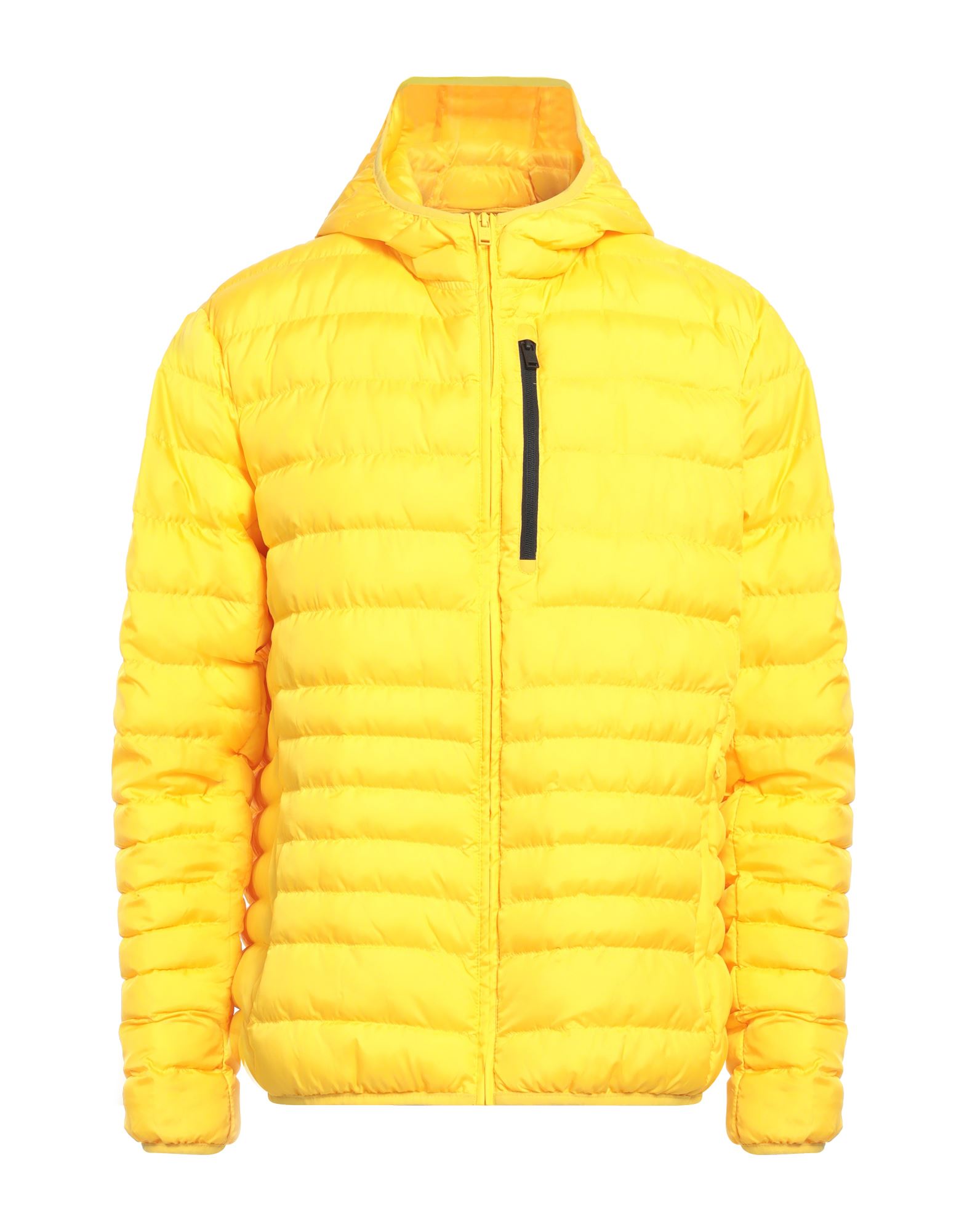 CIESSE PIUMINI Pufferjacke & Daunenjacke Herren Gelb CIESSE PIUMINI Pufferjacke & Daunenjacke Herren Gelb von CIESSE PIUMINI