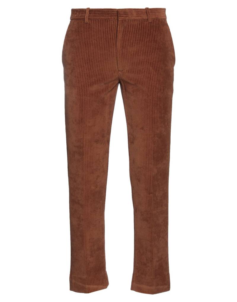 CIRCOLO 1901 Hose Herren Braun von CIRCOLO 1901