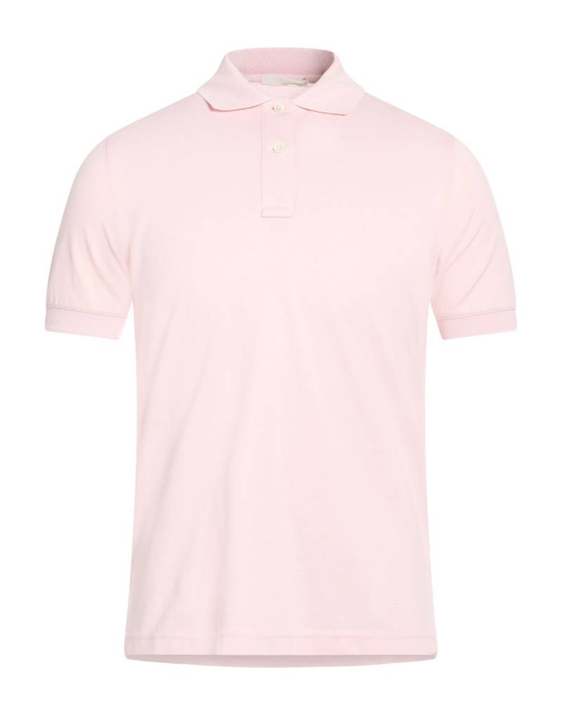 CIRCOLO 1901 Poloshirt Herren Rosa von CIRCOLO 1901