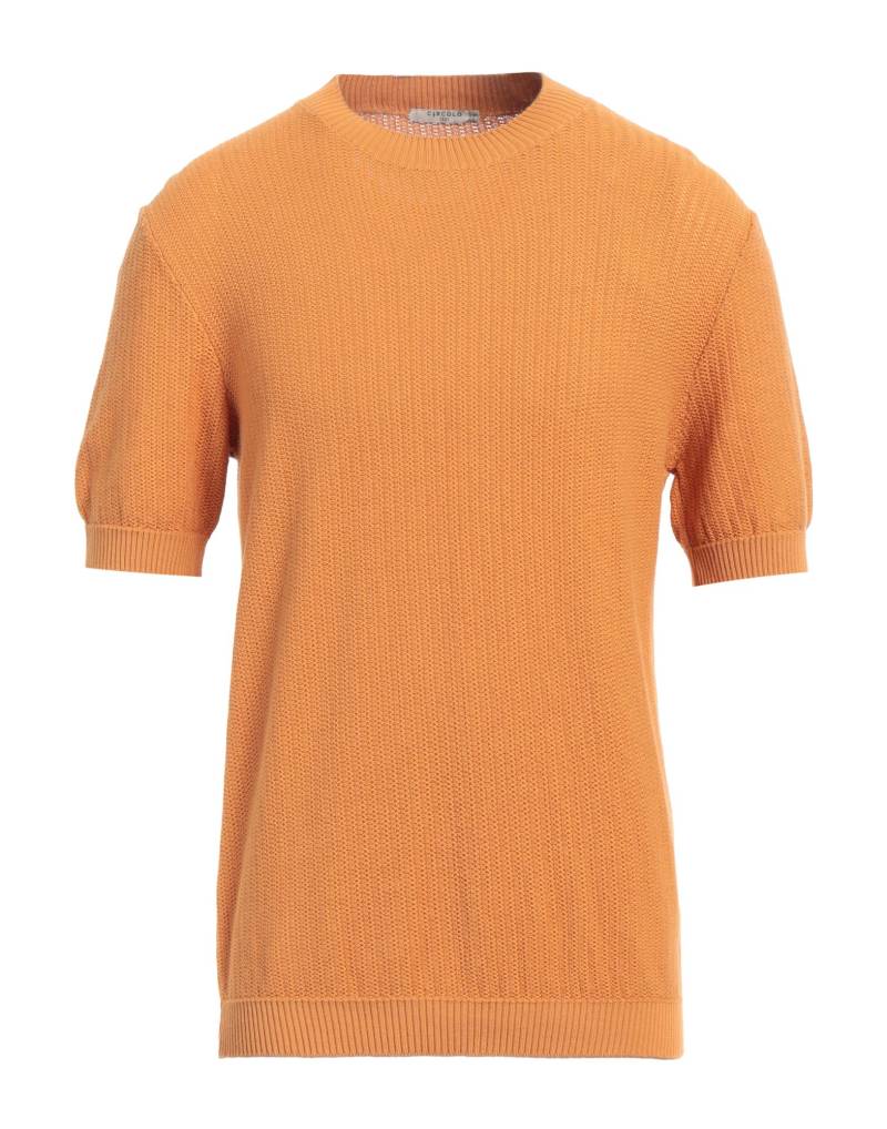 CIRCOLO 1901 Pullover Herren Mandarine von CIRCOLO 1901
