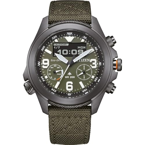 Citizen Watch JV1005-02W von Citizen
