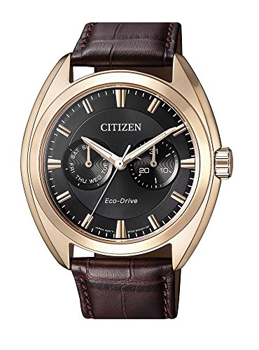 CITIZEN Analog 8018225020453 von Citizen
