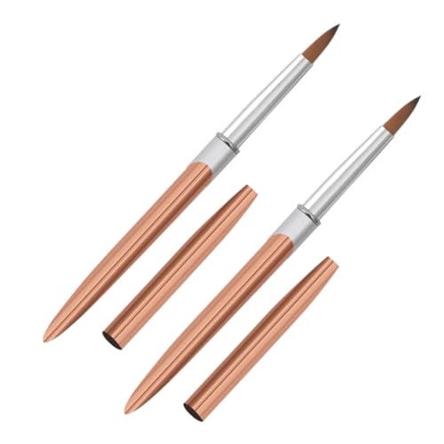 CIYODO 2 Stücke Nail Art Pens mit Metallgriff Feine Spitze Nagelpinsel für Gel Polish Langlebig Präzise Details Leicht und Tragbar Geeignet für Heim und Salon Nagelkunst von CIYODO