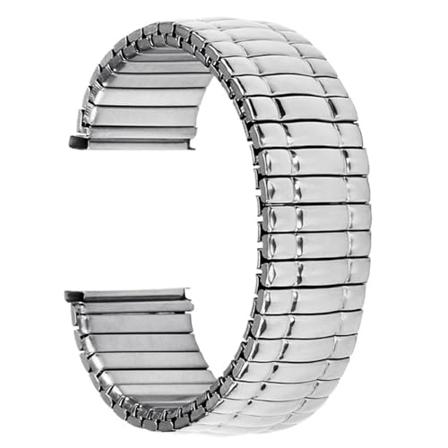 CKAKZTPTEV Uhr Elastische Feder Elastisches Uhrenarmband Elastisches Metall Elastisches Armband Vintage Uhrenkette(Silver,14mm) von CKAKZTPTEV
