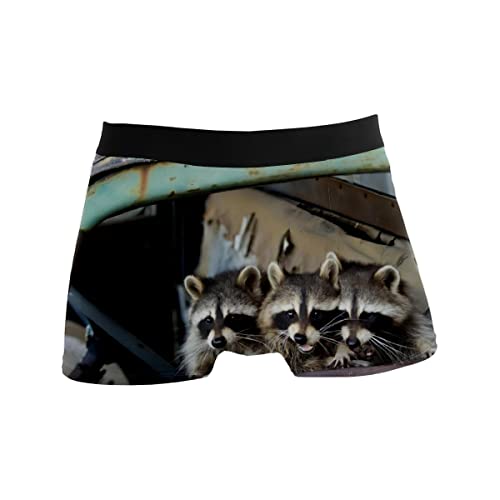 CLAYU Herren-Boxershorts, Unterwäsche, Stretch, niedrige Taille, lustiger Waschbär (1) (1) (1) (1) (1 Stück x L), einfarbig, L von CLAYU