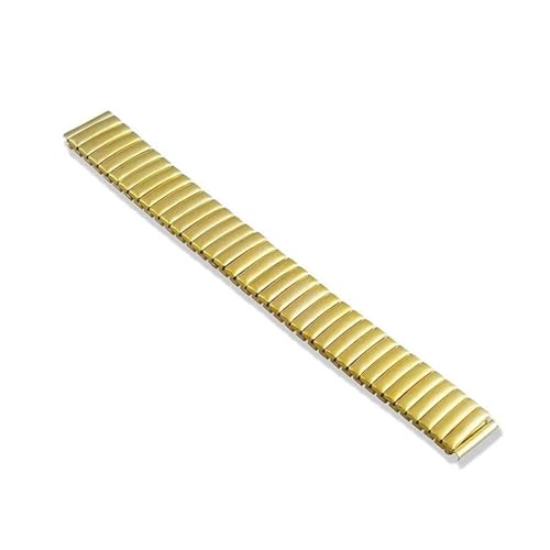 CLCLGOKKOH Uhrenzubehör Elastisches Armband Flache Spannung Stahlfeder Einziehbare Herren- Und Damenuhren for Ältere(Gold,16mm) von CLCLGOKKOH