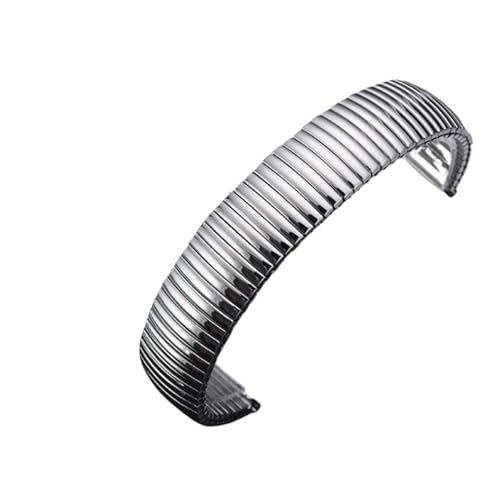 CLCLGOKKOH Uhrenzubehör Elastisches Armband Flache Spannung Stahlfeder Einziehbare Herren- Und Damenuhren for Ältere(Silver,18mm) von CLCLGOKKOH