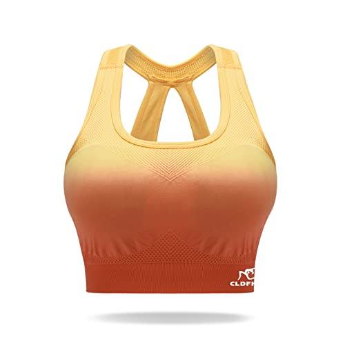 CLDFHX Damen Sport BH Starker Halt Push Up Sport-BH Gepolstert Ohne Bügel Nahtlos Crop Top zum Joggen Yoga Fitness Laufen Pilates, Gelb, L von CLDFHX