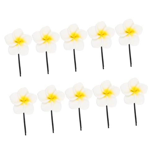 CLISPEED 10 Stück Teiliges Haarschmuck Egg Flower Haarnadeln aus Resin Hawaiianischer Stil Langlebige Frauen Haarspangen Modisches Blumen Design Geeignet für Geburtstagsgeschenk und von CLISPEED