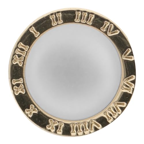 CLISPEED Magnetische Brosche für Damen Leicht und Tragbar Spurloser Kleiderclip aus Metall Vielseitig für Schals Kleidung Ausschnitt Modisches Zubehör Sicherer Halt Beschädigung von CLISPEED