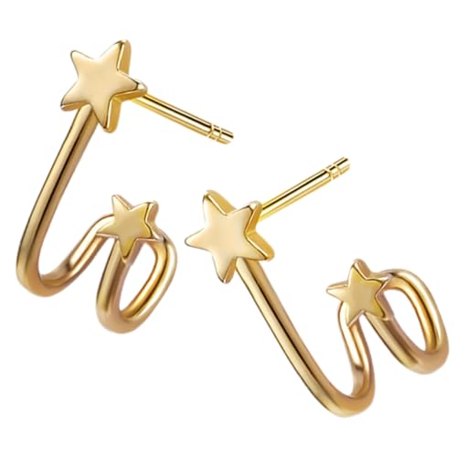 CLISPEED Silber Ohrstecker Stern Form Damen Ohrschmuck Leicht und Allergiefrei Kleine Schlichte Ohrstecker für Mädchen und Frauen Modisch und Elegant für Besondere Anlässe CLISPEED Silber Ohrstecker Stern Form Damen Ohrschmuck Leicht und Allergiefrei Kleine Schlichte Ohrstecker für Mädchen und Frauen Modisch und Elegant für Besondere Anlässe von CLISPEED