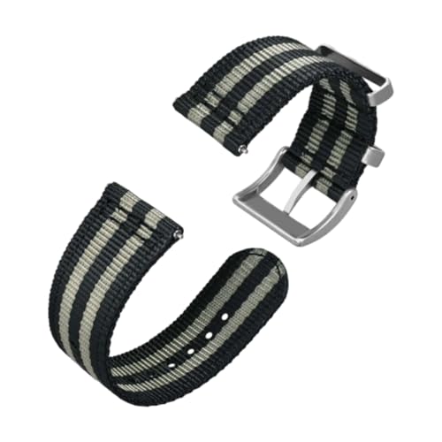 CLywdp 18/20/22 mm Nylon-Uhrenarmband, Schnellverschluss, silberne Stahlschnalle,22 mm von CLywdp