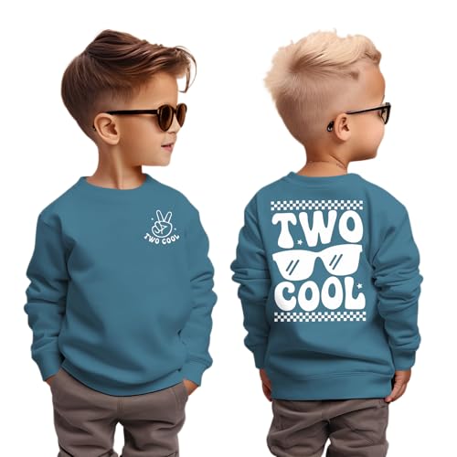 CM C&M WODRO 2. Geburtstag Junge Sweatshirt Two COOL Pullover für Kleinkinder Zweiter Geburtstags Sweatshirts Herbst Winter Langarmshirt Kinder Ankündigung Outfit Baumwolle Babyshirt(Blau,2 Jahre) von CM C&M WODRO